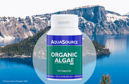Klamath algae AFA 120 tab