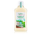 Mouthwash with aloe vera and coconut