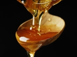 Diet original Canadian maple syrup - Option 2 (a lightweight mode)