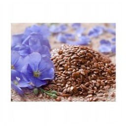 Flax seed 5 kg