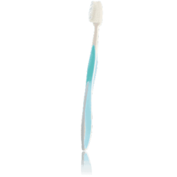 Toothbrush ProDental blue