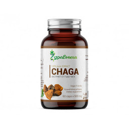 Chaga - extract, natural biostimulator