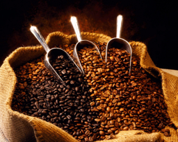 Colombia Red Ecolsierra