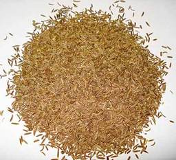 Kim 100 g