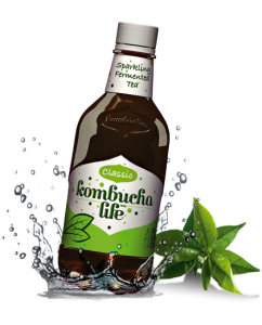 Kombucha Classic 500ml