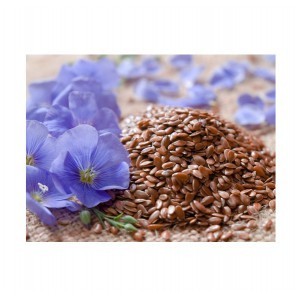 Flax seed 5 kg