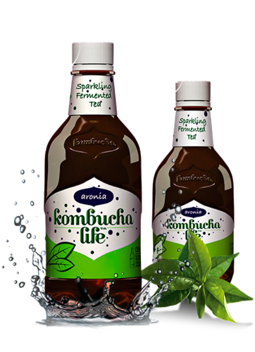 Kombucha Aronia 330ml