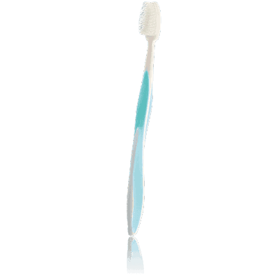Toothbrush ProDental blue