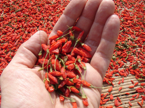 Goji berry 1 kg