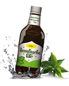 Kombucha Buzz 330ml