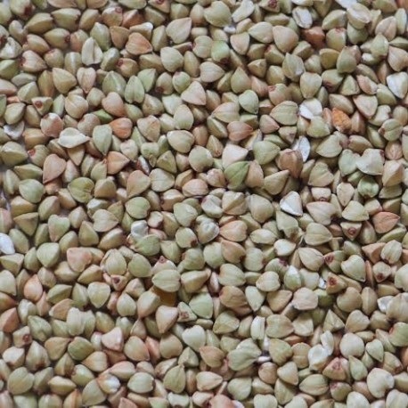 Buckwheat, green