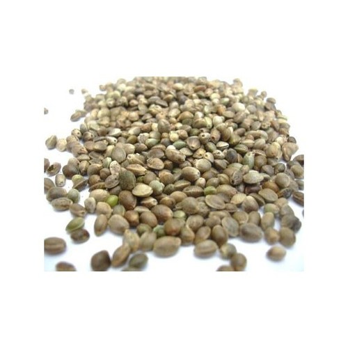 Unpeeled Hemp seed 1 kg