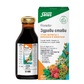 Floradix healthy joints