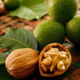 10 amazing benefits of walnuts