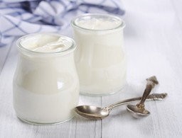 Diet yogurt does wonders for the body