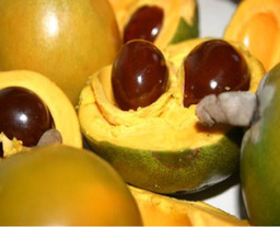 Lucuma