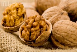 Walnut - a miracle of nature