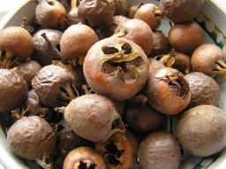 Medlars - what are its useful qualities and a marmalade recipe
