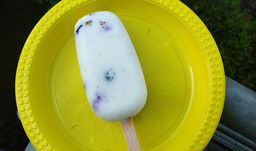Ice cream yogurt with blueberries