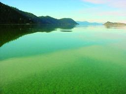 Klamath algae