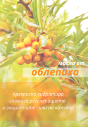 Sea Buckthorn