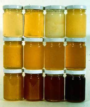 Защо медът кристализира (захаросан мед) и полезен ли е?